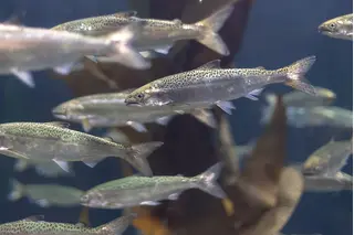 Hvordan lese av vannmåler?